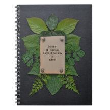 Diario de las superpotencias