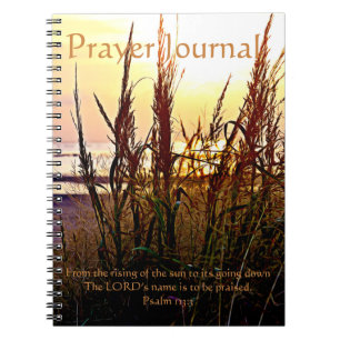 Cuaderno Diario de oraciones de hierba salvaje Beach Sunset
