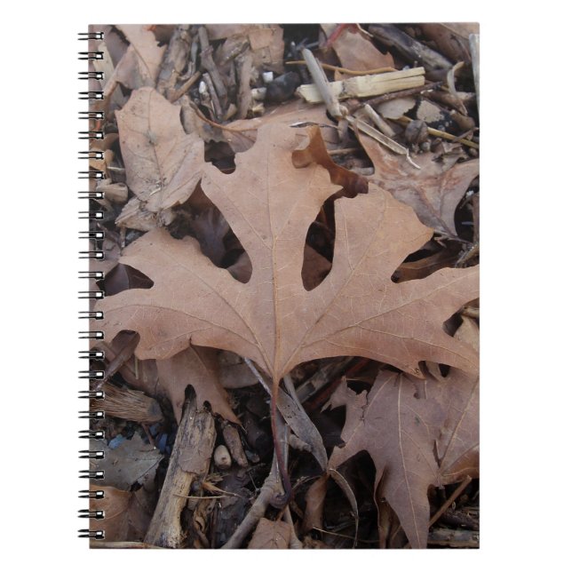 Cuaderno Diario de otoño (Frente)