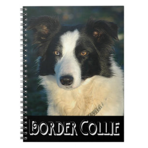 Cuaderno Diario de perro cachorro Border Collie negro y bla