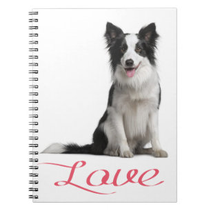 Cuaderno Diario de perro cachorro Border Collie negro y bla