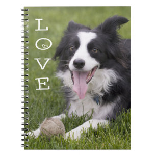 Cuaderno Diario de Perro Cachorro de Border Collie de Amor