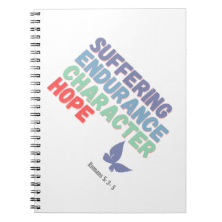 Cuaderno Diario de prueba