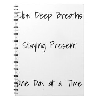 Cuaderno Diario de recuperación