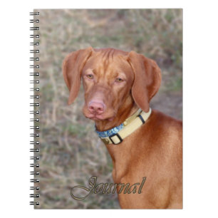 Cuaderno Diario de Vizsla