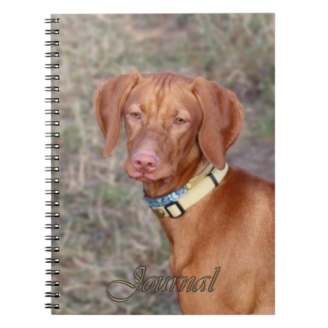 Cuaderno Diario de Vizsla (Frente)