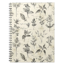 Diario del escritor diario