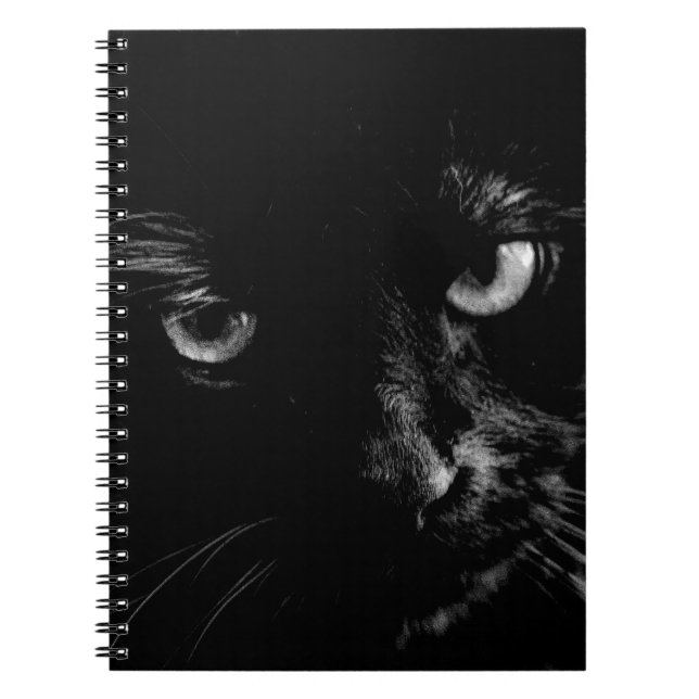 Cuaderno Diario del gato negro (Frente)