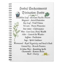 Diario Del Libro De Las Sombras De Brujería