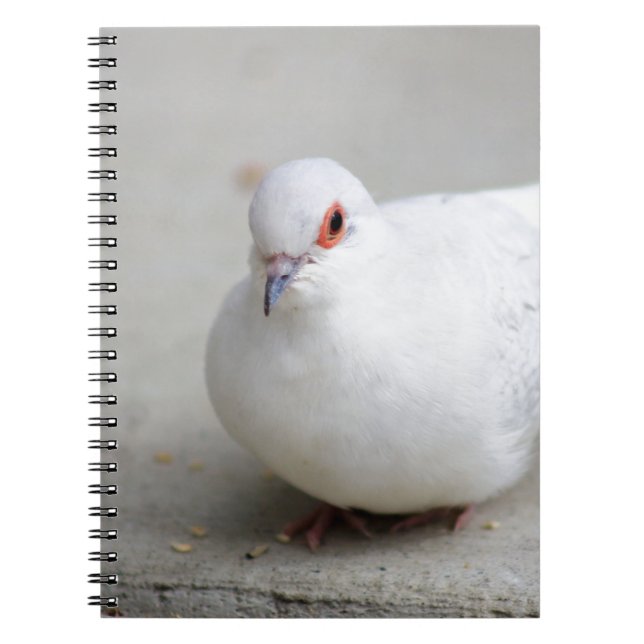 Cuaderno Diario del pájaro de la paloma del diamante (Frente)