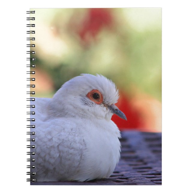 Cuaderno Diario del pájaro de la paloma del diamante (Frente)