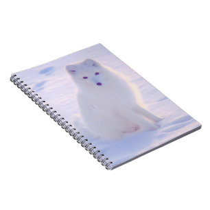 Cuaderno Diario diseñado por Alaska Arctic Winter Fox Photo