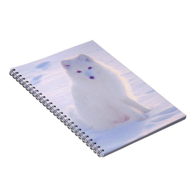 Cuaderno Diario diseñado por Alaska Arctic Winter Fox Photo (Lado Derecho)