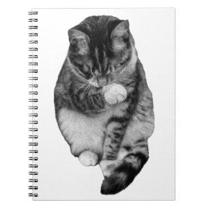 Cuaderno Diario Gentle Hush