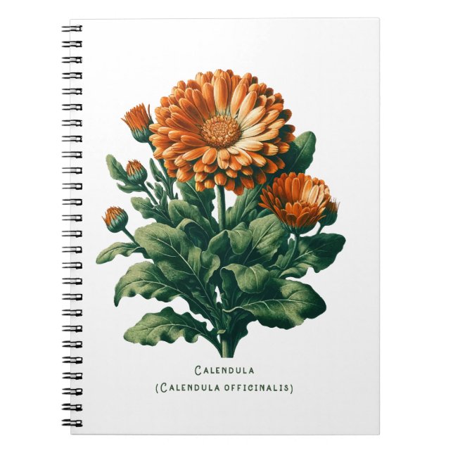 Cuaderno Diario Herbal Floral de Flor de Caléndula (Frente)