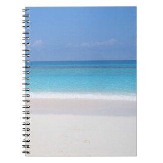 Cuaderno Diario ideal