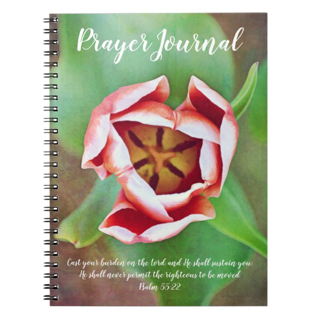 Cuaderno Diario interior del rezo del tulipán (Frente)