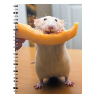 Cuaderno Diario Marty Mouse