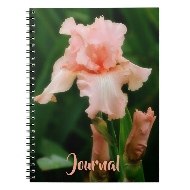 Cuaderno Diario personal de arte de flores de iris rosado d (Frente)