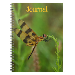 Cuaderno Diario personal de la libélula dorada