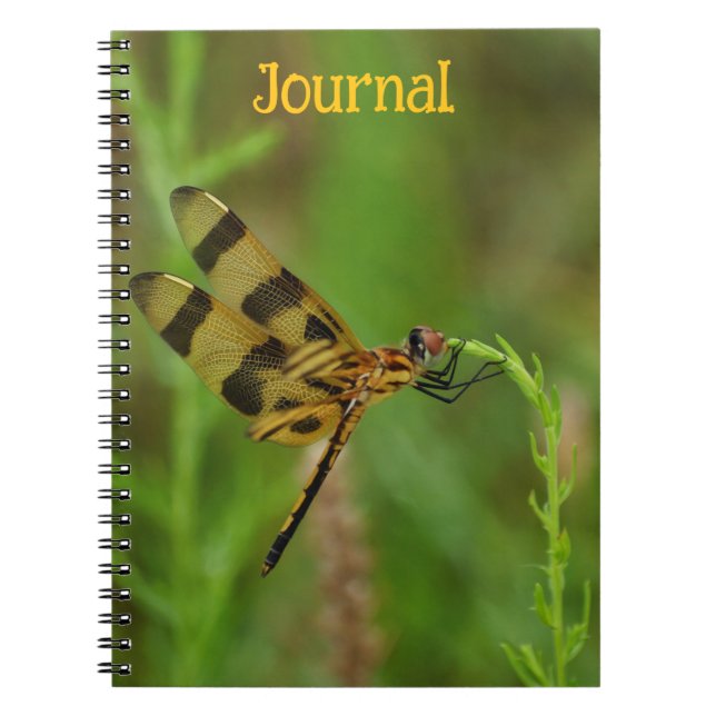 Cuaderno Diario personal de la libélula dorada (Frente)