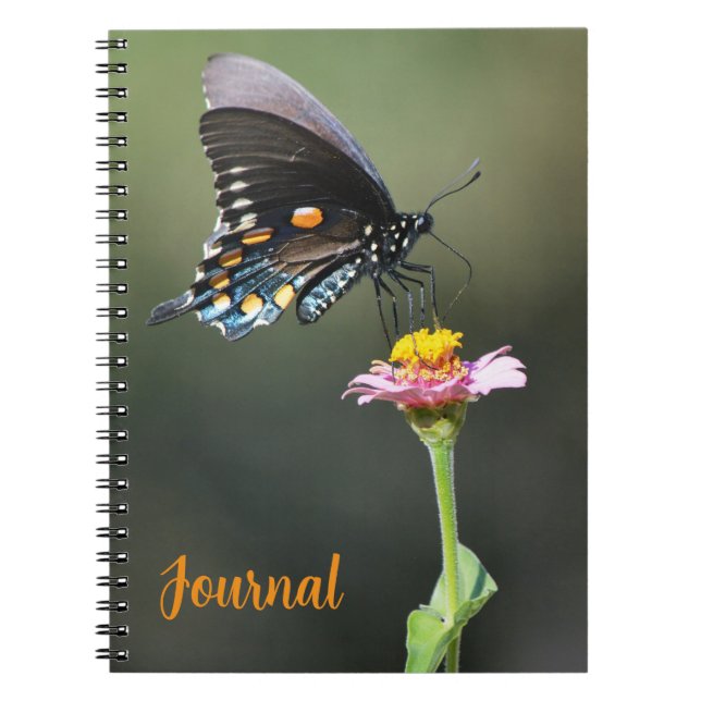 Cuaderno Diario personal sobre mariposa y flor de grandes B (Frente)