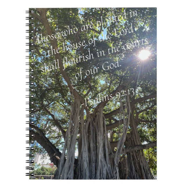 Cuaderno Diario plantado (Frente)