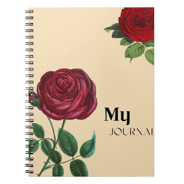 Cuaderno diario Rosa (Frente)