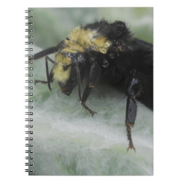 Cuaderno Días lluviosos