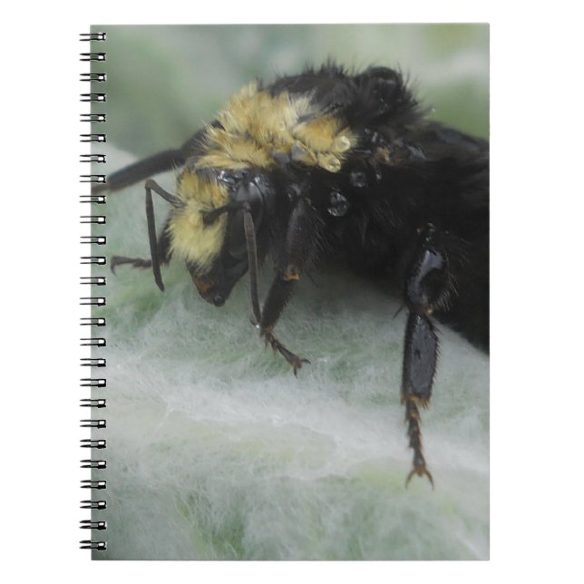 Cuaderno Días lluviosos (Frente)