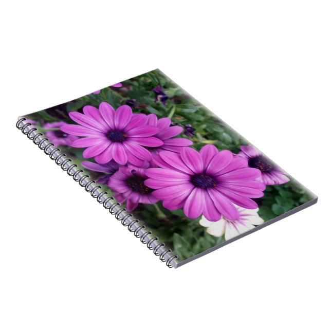 Cuaderno Diásisis moradas (Lado Derecho)