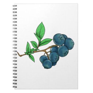 Cuaderno dibujo a base de arándanos
