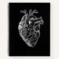 Dibujo anatómico del corazón