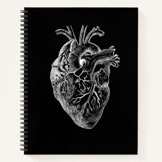 Cuaderno Dibujo anatómico del corazón