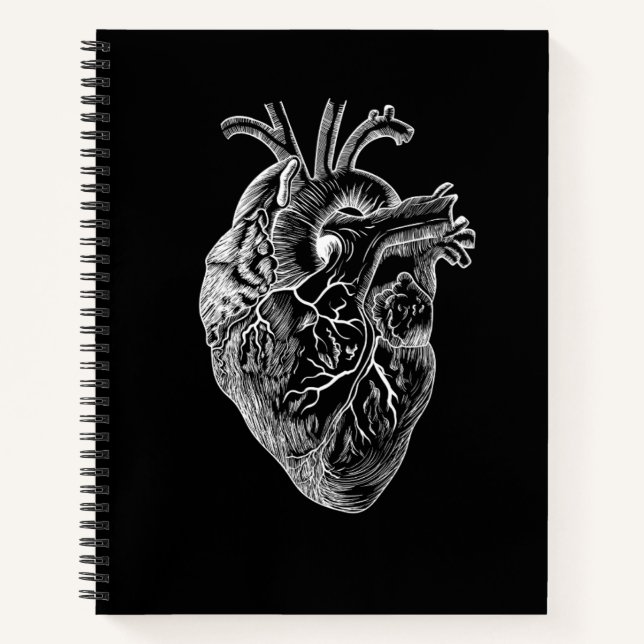 Cuaderno Dibujo anatómico del corazón (Anverso)