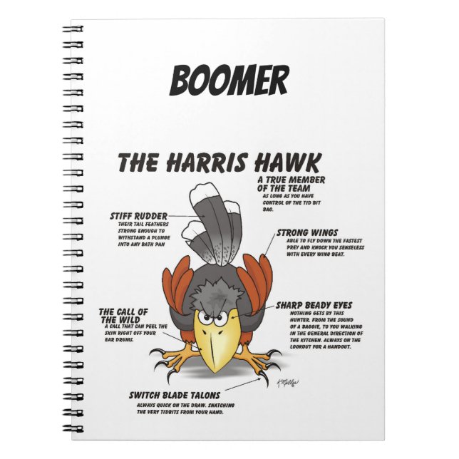 Cuaderno Dibujo animado de halcón de Harris (Frente)