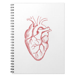 Cuaderno Dibujo de anatomía del corazón humano