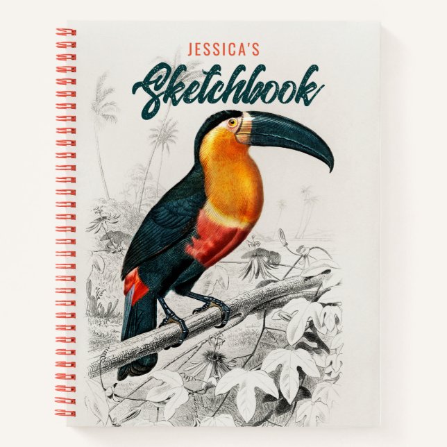 Cuaderno Dibujo de artista Toucan Bird Sketchbook Nombre pe (Anverso)