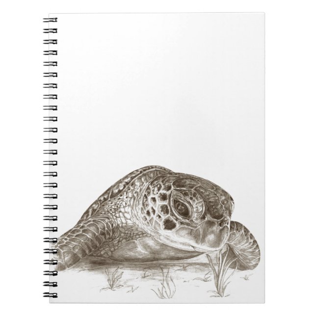 Cuaderno Dibujo de la tortuga de mar verde (Frente)