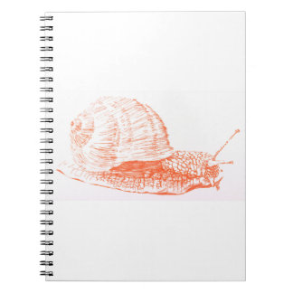 Cuaderno Dibujo de naranja