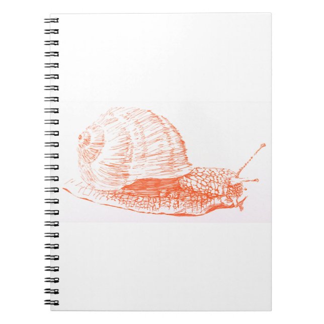 Cuaderno Dibujo de naranja (Frente)