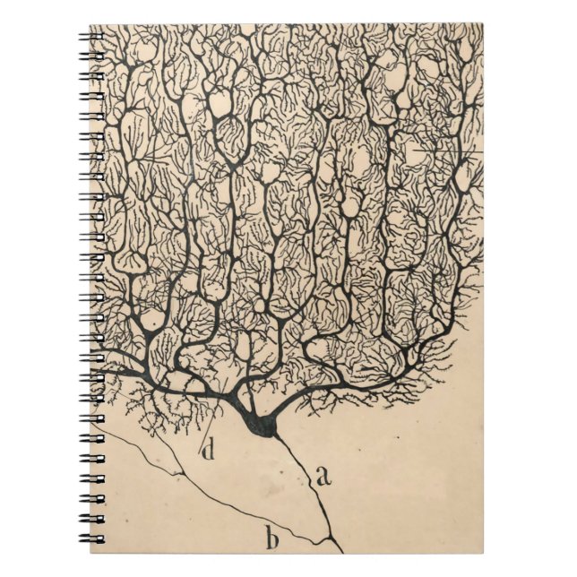Cuaderno Dibujo De Neuronas Por Santiago Ramón Y Cajal (Frente)