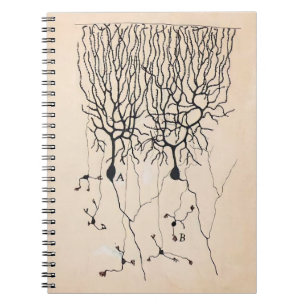 Cuaderno Dibujo de Neuronas Vintas por Santiago Ramón y Ca