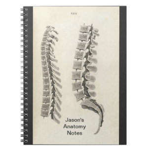 Cuaderno Dibujo de vértebras