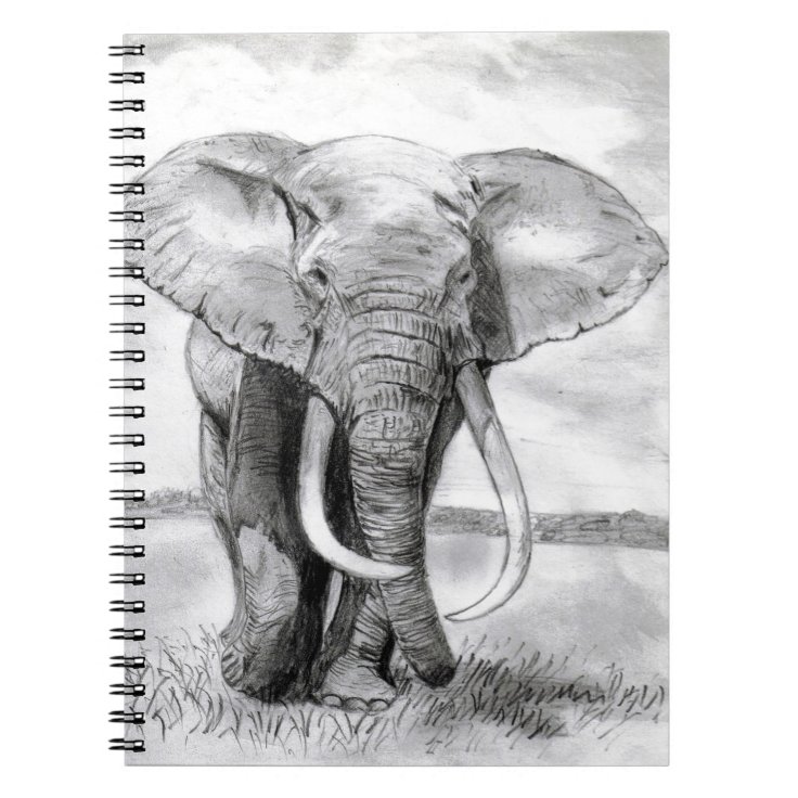 hecho Manhattan deficiencia Cuaderno dibujo del elefante africano en diseño del lápiz | Zazzle.es