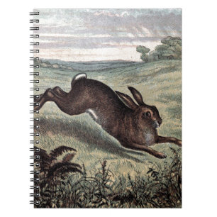 Cuaderno Dibujo del vintage: Liebres corrientes en un campo