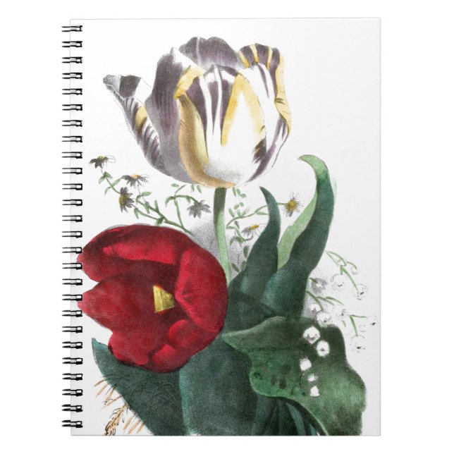 Cuaderno Dibujo del vintage: Tulipanes (Frente)