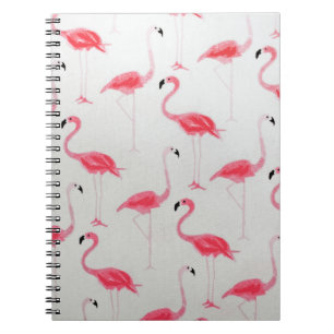 Cuaderno Dibujo flamenco rosado de artista flamenco