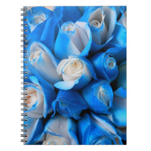 Cuaderno Diemudis