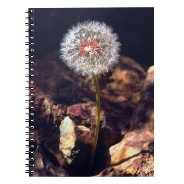 Cuaderno Diente de león (Frente)